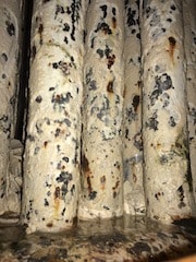 cần làm và không nên làm ở lò hơi