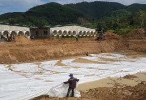 xử lý nước thải chăn nuôi heo