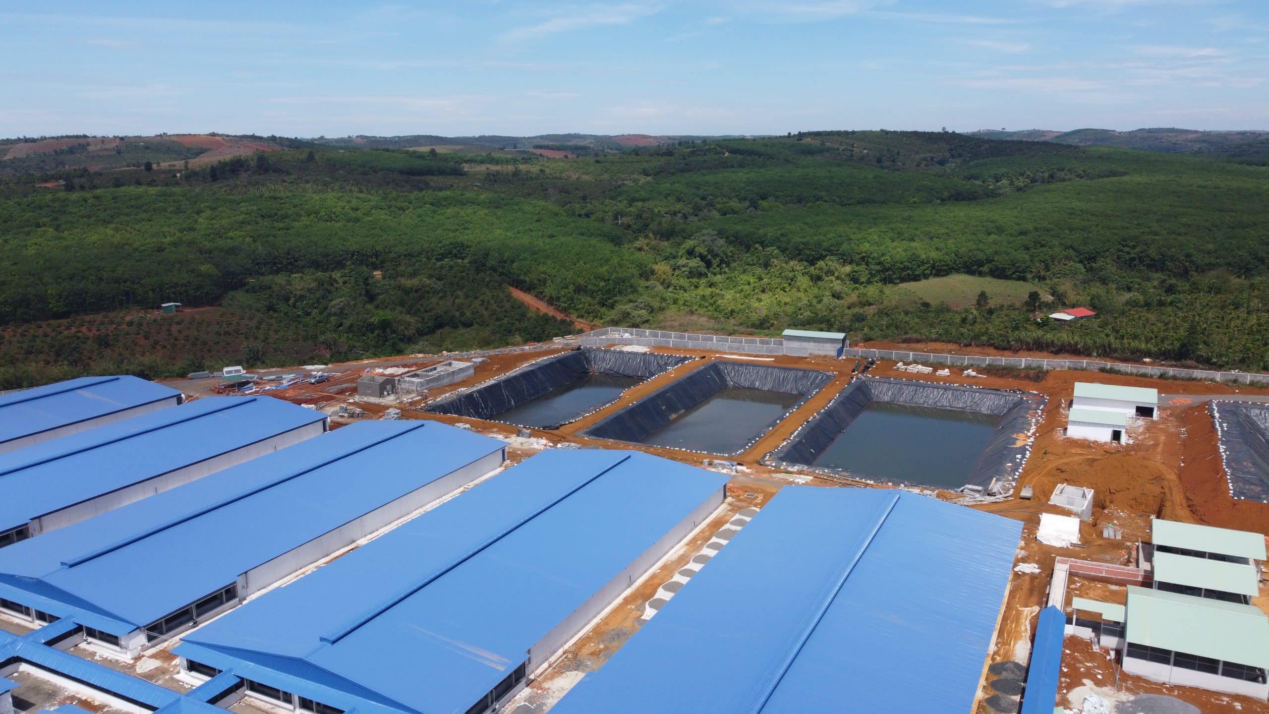 Xử lý nước thải chăn nuôi heo